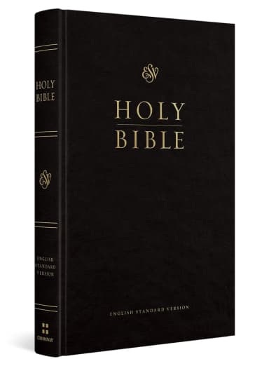 The Bible by Various Authors — book cover